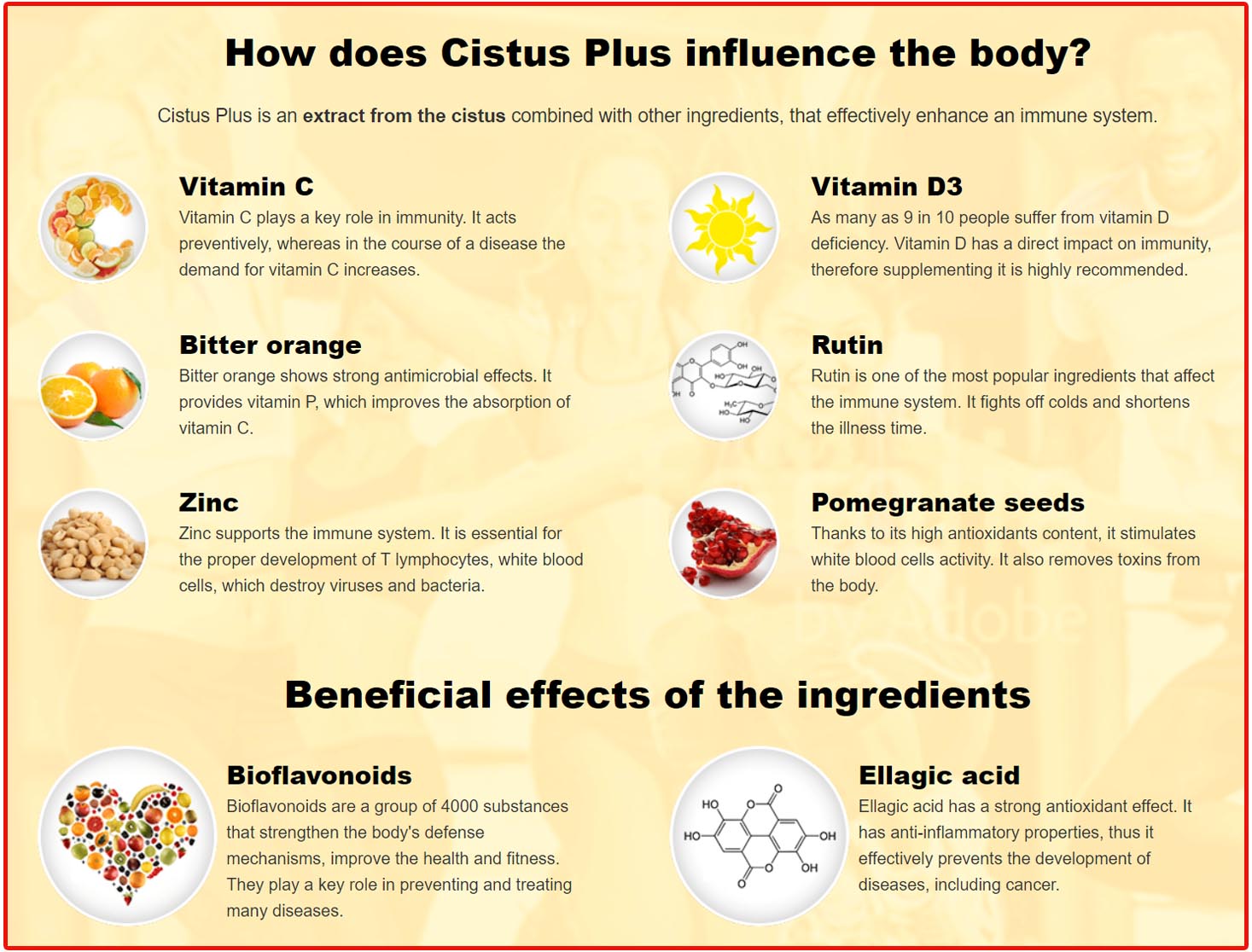 How Does Cistus Plus Work