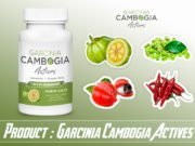 Garcinia Cambogia Actives Review – A Supplement for A Weight Loss. Garcinia Cambogia Actives Review