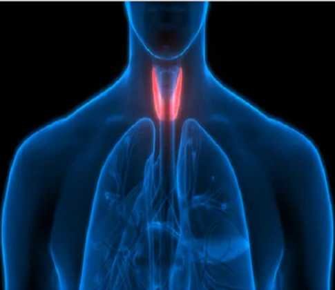 Hypothyroidism: Causes of Hypothyroidism , Symptoms & Treatment.