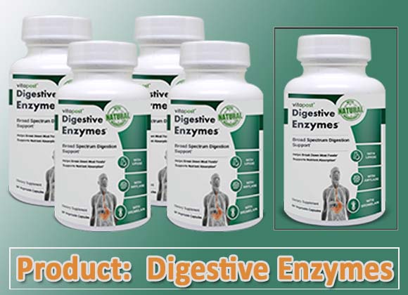 Vita Balance Digestive Enzymes Review