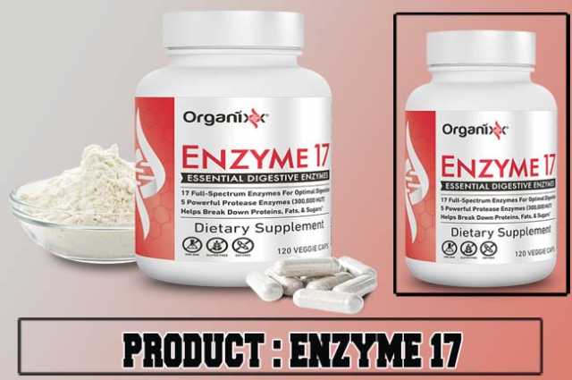 ENZYME 17 Review