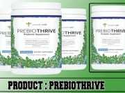 Gundry MD PrebioThrive Review – Does It Really Improve Gut Health? Prebiothrive Review