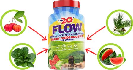 The 20 Flow ingredients