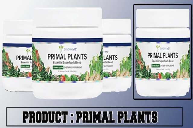 Primal Plants Review