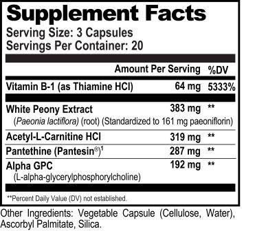 Acetylcholine Brain Food Ingredients