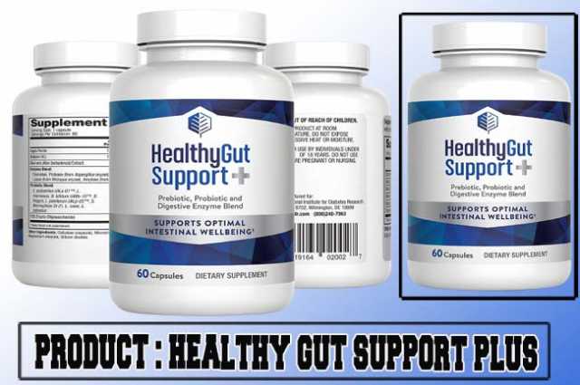Healthy Gut Support Plus Review