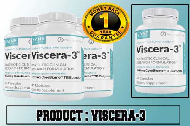 Viscera-3 Review