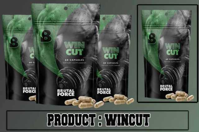 Wincut Review