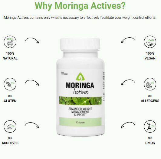 Moringa Actives