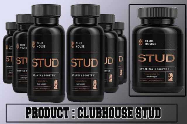 Clubhouse Stud Review