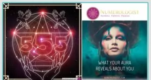 Mike Madigan’s Numerologist.Com Review – Is It Scam Or Really Work? numerologist