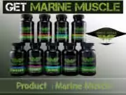 Marine Muscle Review – How Safe And Effective Is This Product? Marine Muscle