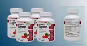 Blood Pressure Support Review – Does It Support Cardiovascular Health. Blood Pressure Support Review