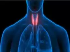 Hypothyroidism: Causes of Hypothyroidism , Symptoms & Treatment. Causes of Hypothyroidism