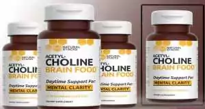 Natural Stacks Acetylcholine Brain Food Review – Is It Scam or Legit? Acetylcholine Brain Food Review