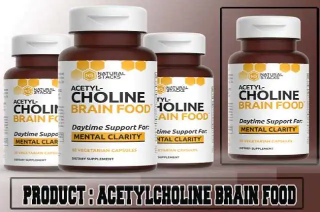 Acetylcholine Brain Food Review