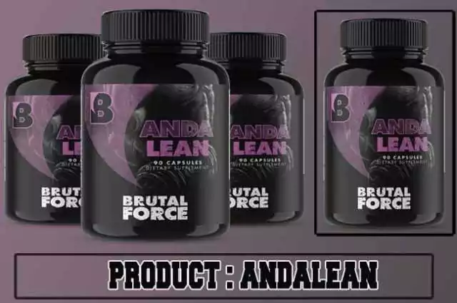 Andalean Review Andalean Review