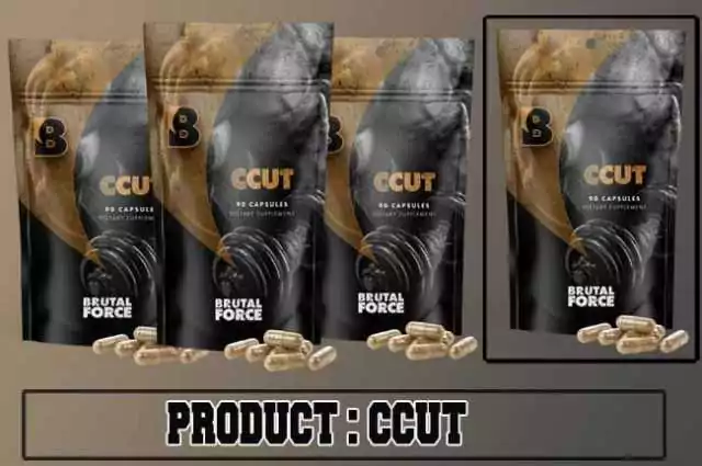 Ccut Review