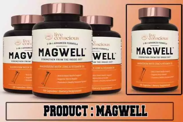 MagWell Review MagWell Review