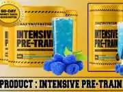 Intensive Pre-Train Review – (Scam or Legit) Is It Worth For You? Intensive Pre-Train Review