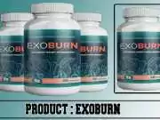 Exoburn Review – 9 Things You Need to Know. ExoBurn Review