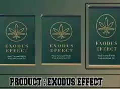 Exodus Effect Review – Must Read This Before Buying ! Exodus effect review