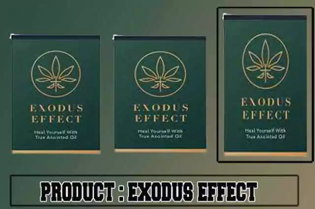 Exodus effect review