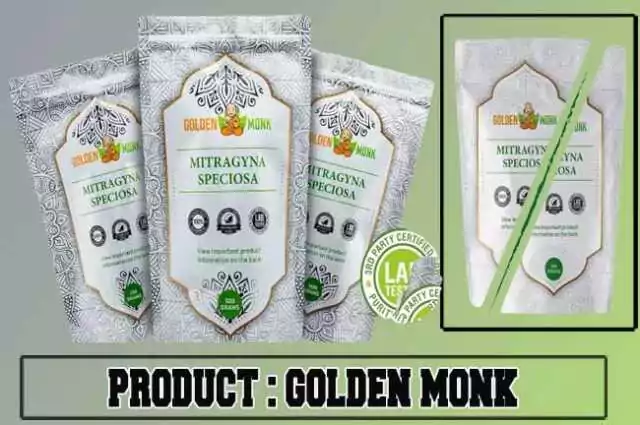 Golden Monk Review