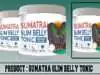 Sumatra Slim Belly Tonic Review – Pros, Cons, Effectiveness & More. Sumatra Slim Belly Tonic Review
