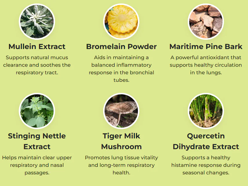 Pulmo Balance Ingredients